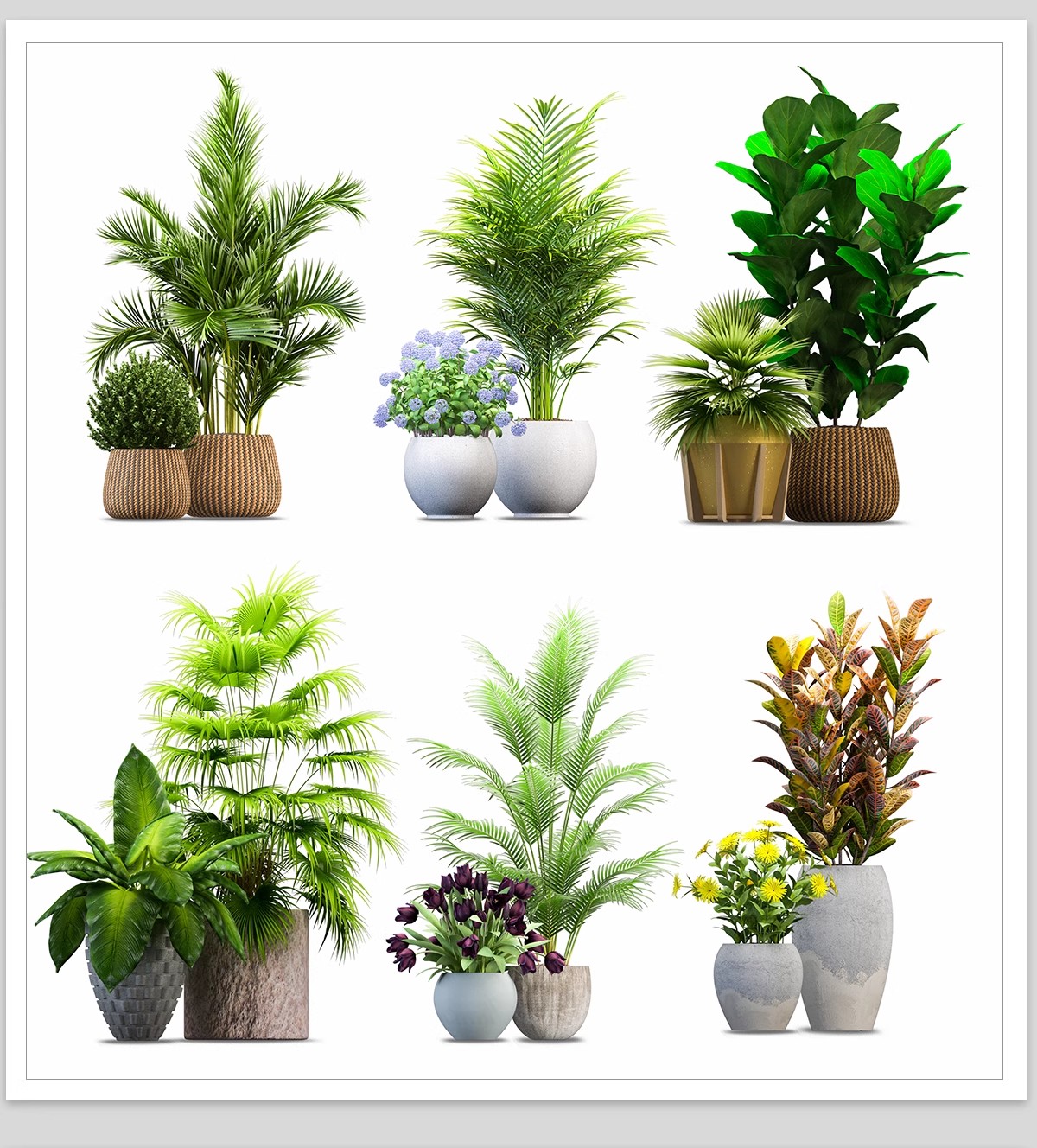 图片[4]-室内盆栽绿植花盆植物组合ps素材 现代简约客厅摆件免抠psd免抠图-大怪兽分享