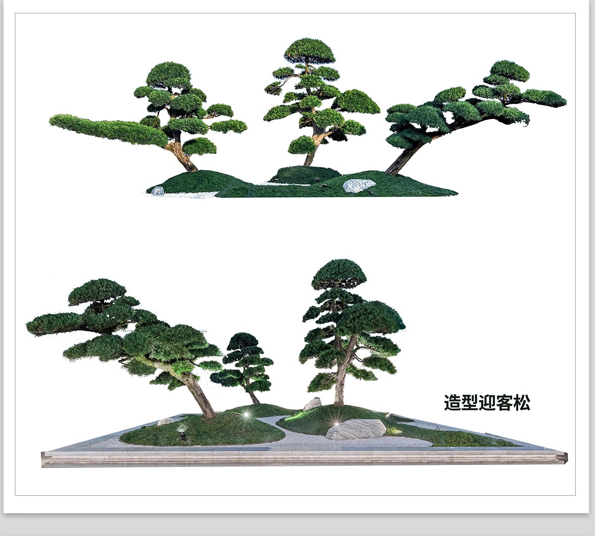 图片[4]-PS景观造型植物灌木球造型树迎客罗汉松桩景效果图png棒棒糖素材-大怪兽分享