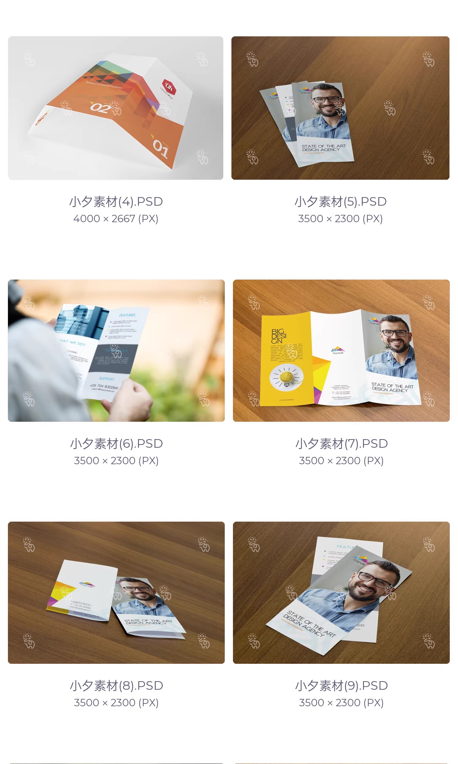 图片[4]-57套品牌企业对折三折页四折页展示效果PSD智能贴图样机素材-大怪兽分享