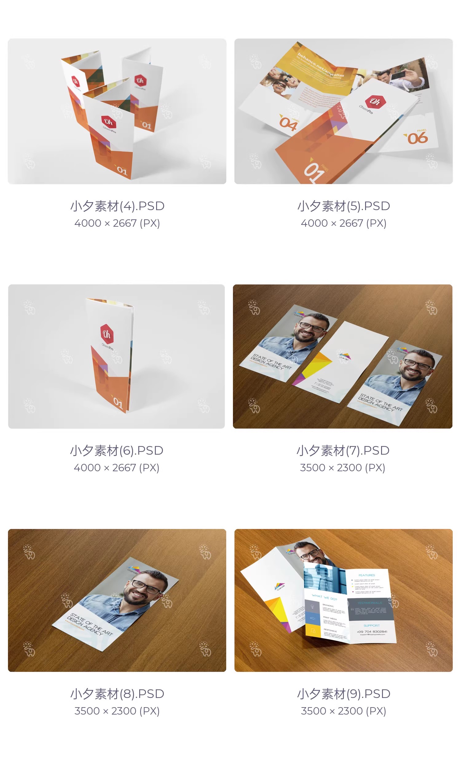 图片[4]-高端品牌对折三折页四折页展示效果图PSD分层智能贴图样机模板-大怪兽分享