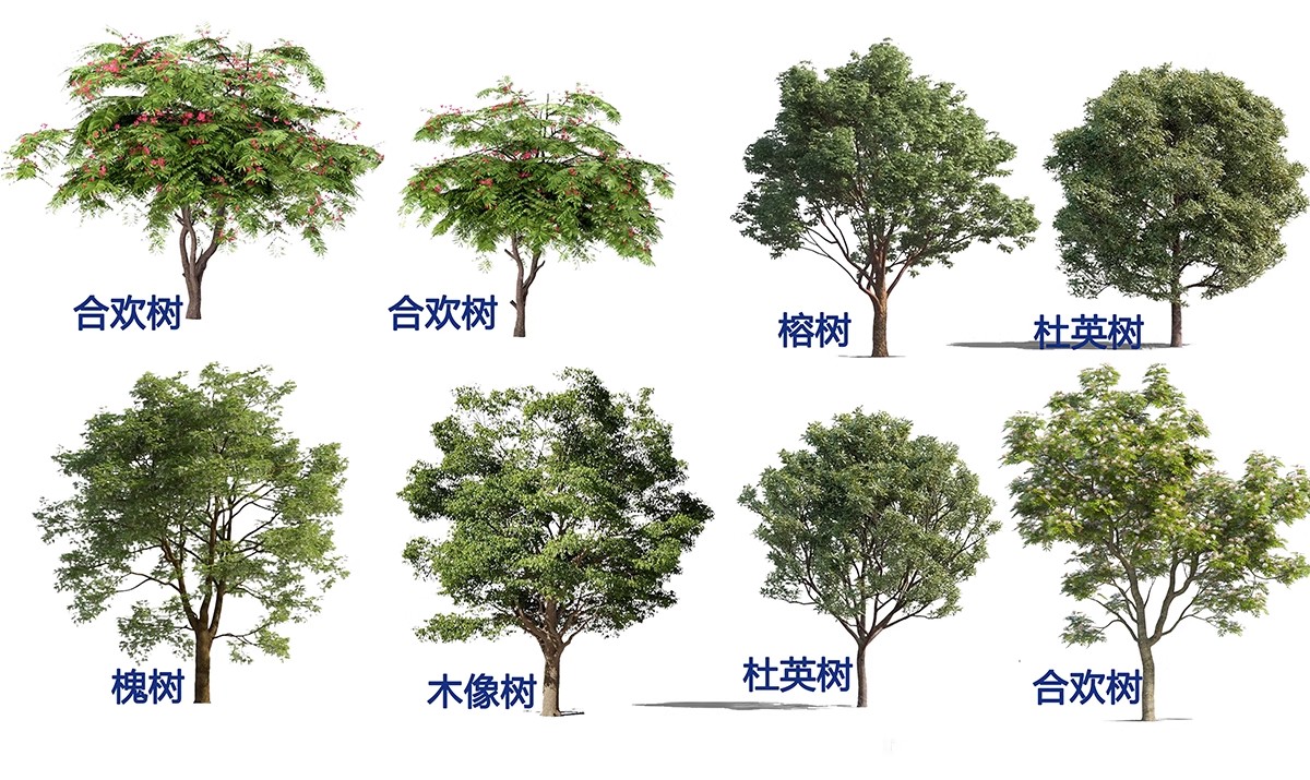 图片[4]-高清植物PS贴图真实乔木竞赛秋季植物PNG免扣园林景观植物素材-大怪兽分享