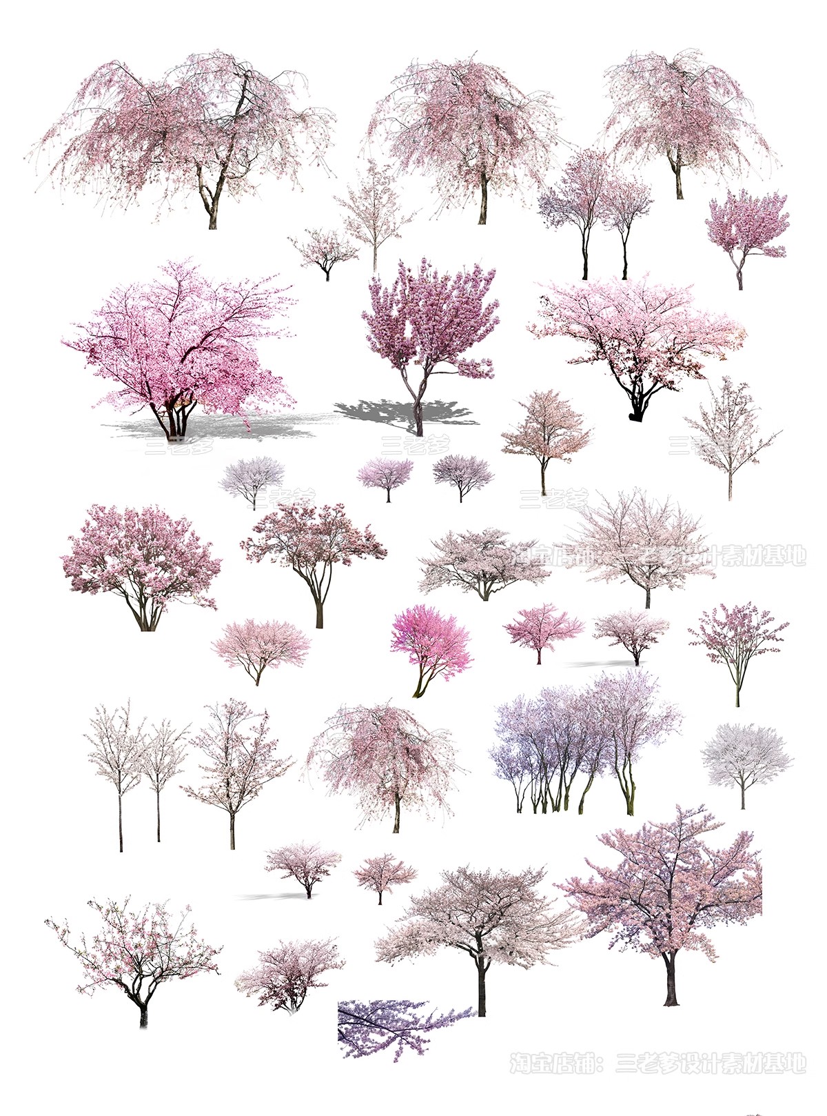 图片[5]-樱花树梅花树PS免抠 景观园林梅花桃花花瓣街道植物PSD效果图素材-大怪兽分享