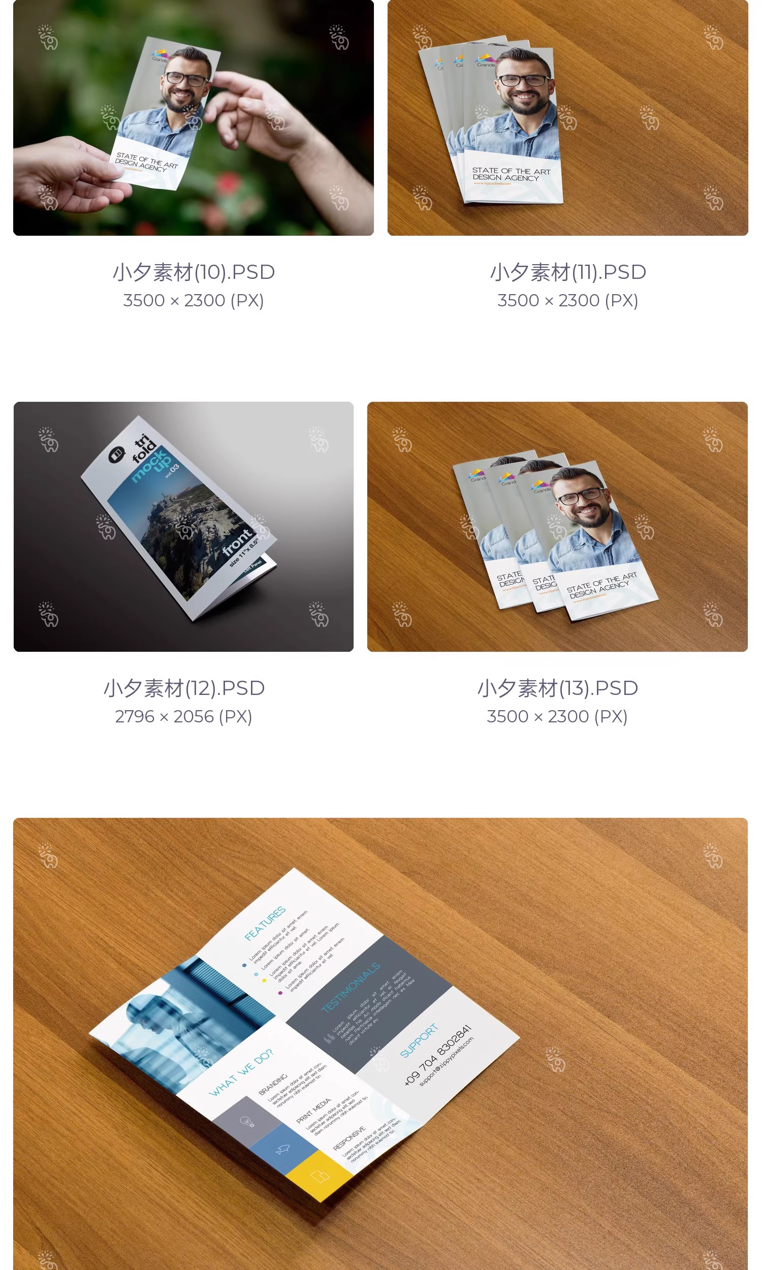 图片[5]-57套品牌企业对折三折页四折页展示效果PSD智能贴图样机素材-大怪兽分享