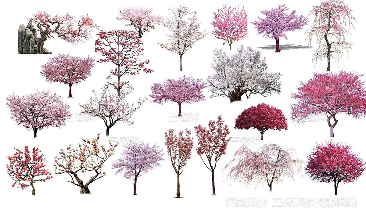 图片[6]-樱花树梅花树PS免抠 景观园林梅花桃花花瓣街道植物PSD效果图素材-大怪兽分享