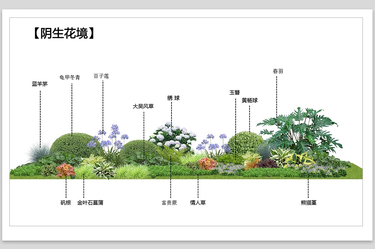 图片[6]-耐阴植物psd免扣园林景观蕨类苔藓矾根苔藓花镜地被ps素材效果图-大怪兽分享