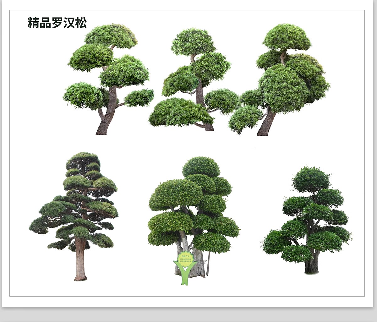 图片[6]-PS景观造型植物灌木球造型树迎客罗汉松桩景效果图png棒棒糖素材-大怪兽分享