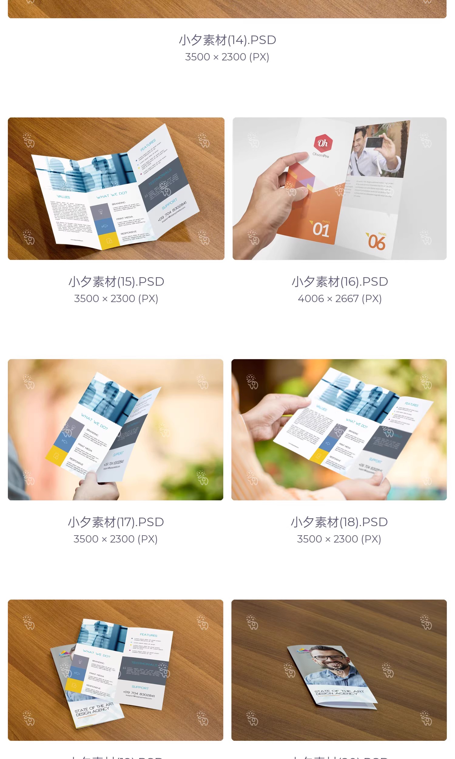 图片[6]-57套品牌企业对折三折页四折页展示效果PSD智能贴图样机素材-大怪兽分享