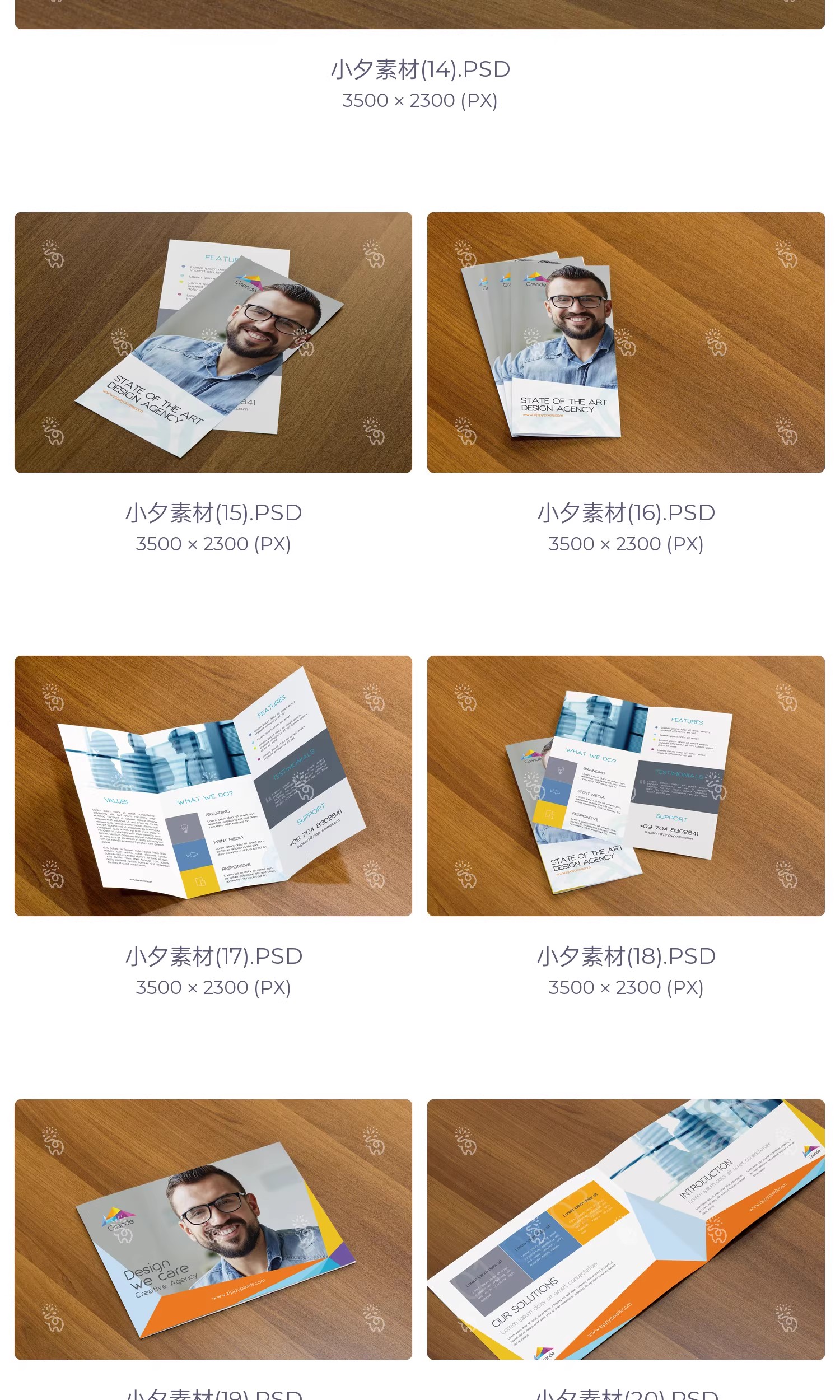 图片[6]-高端品牌对折三折页四折页展示效果图PSD分层智能贴图样机模板-大怪兽分享