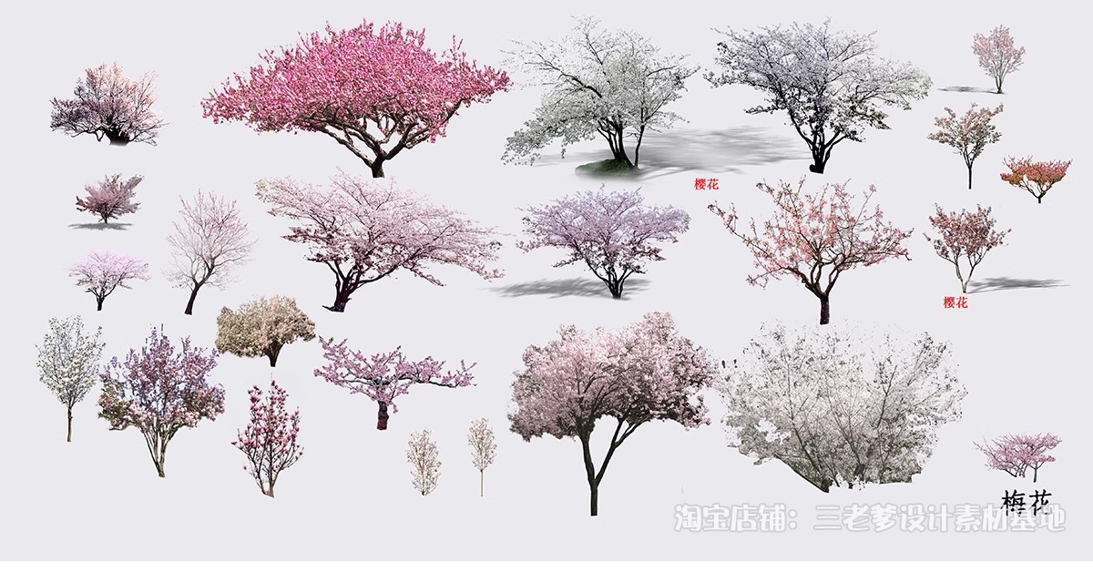 图片[7]-樱花树梅花树PS免抠 景观园林梅花桃花花瓣街道植物PSD效果图素材-大怪兽分享