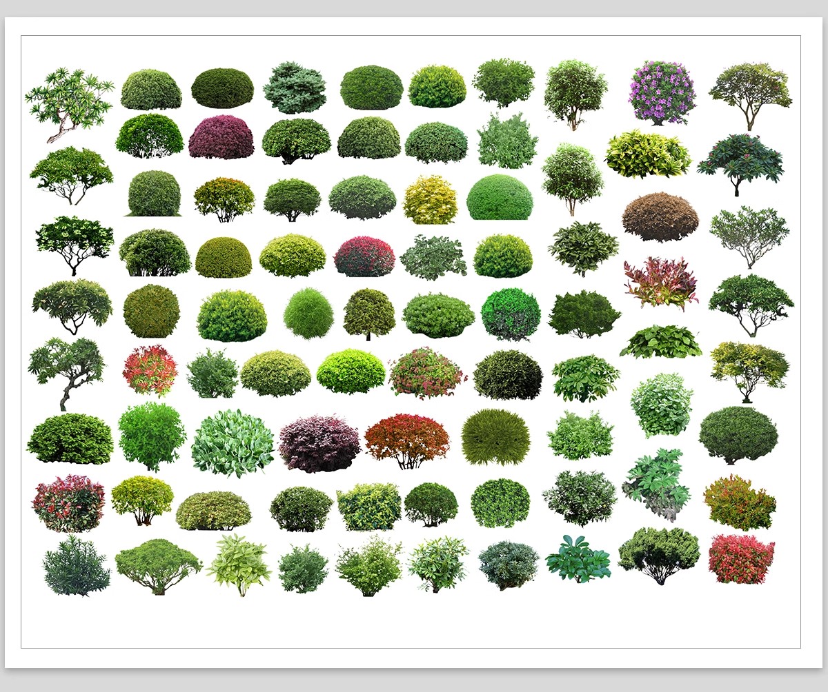 图片[7]-园林景观灌木球ps素材psd免抠效果图球形植物红檵木黄杨女贞石楠-大怪兽分享