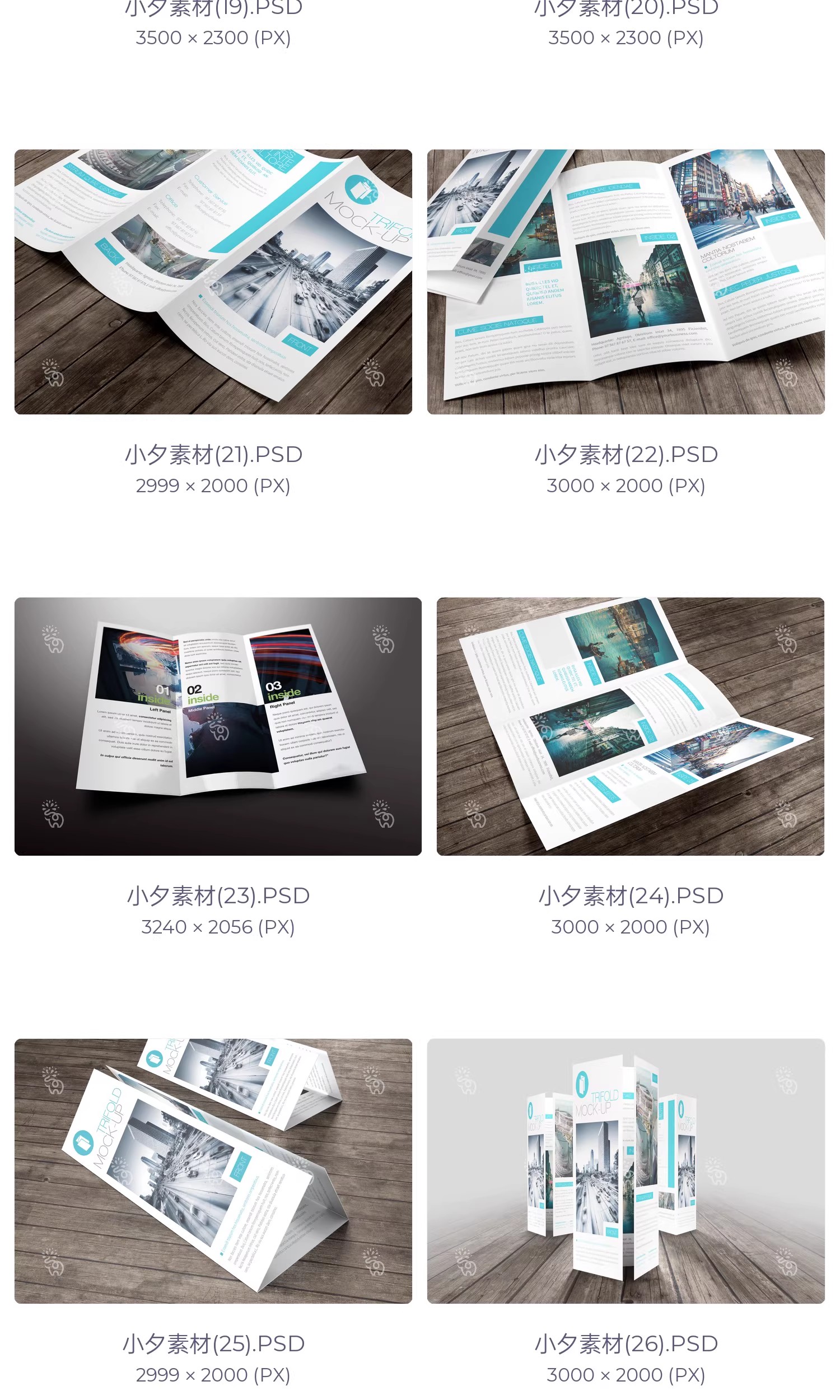 图片[7]-57套品牌企业对折三折页四折页展示效果PSD智能贴图样机素材-大怪兽分享