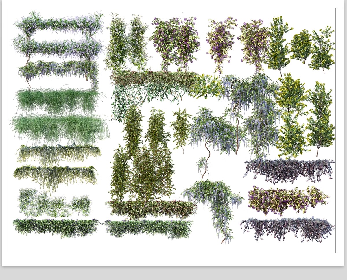 图片[8]-藤蔓爬藤植物爬墙攀援垂钓围墙月季花PS素材蔷薇廊架藤本免抠PSD-大怪兽分享