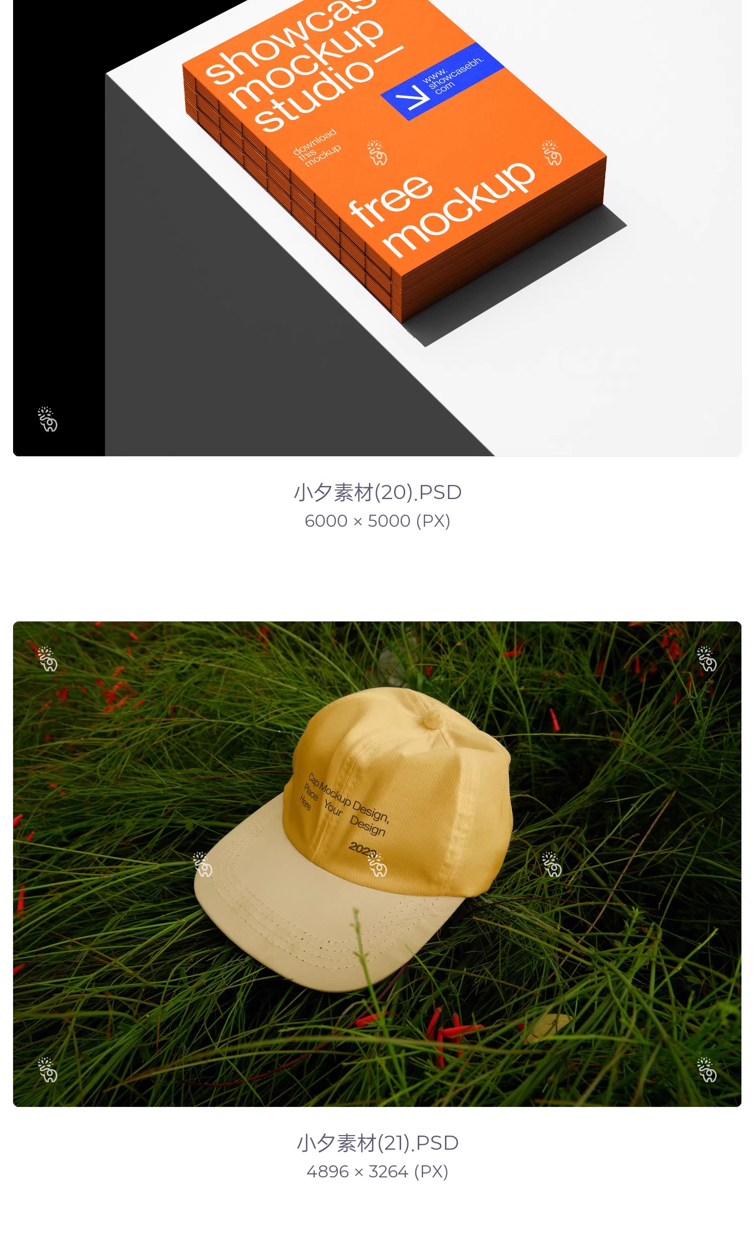 图片[8]-小众艺术文创样机咖啡杯纸袋书籍灯箱T恤文化衫样机PSD设计素材-大怪兽分享