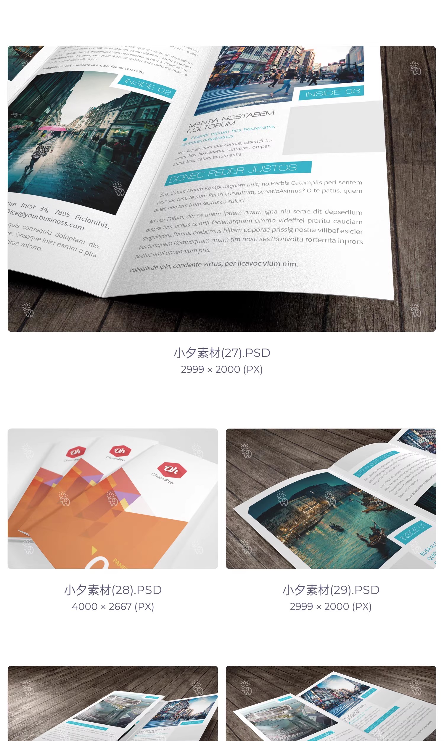图片[8]-57套品牌企业对折三折页四折页展示效果PSD智能贴图样机素材-大怪兽分享