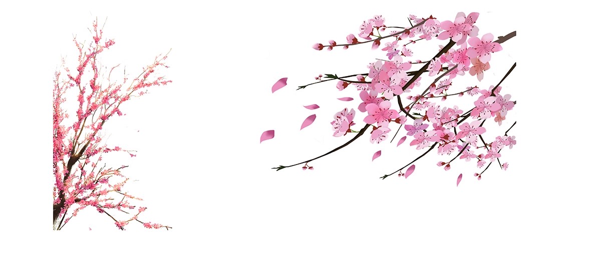 图片[9]-樱花树梅花树PS免抠 景观园林梅花桃花花瓣街道植物PSD效果图素材-大怪兽分享