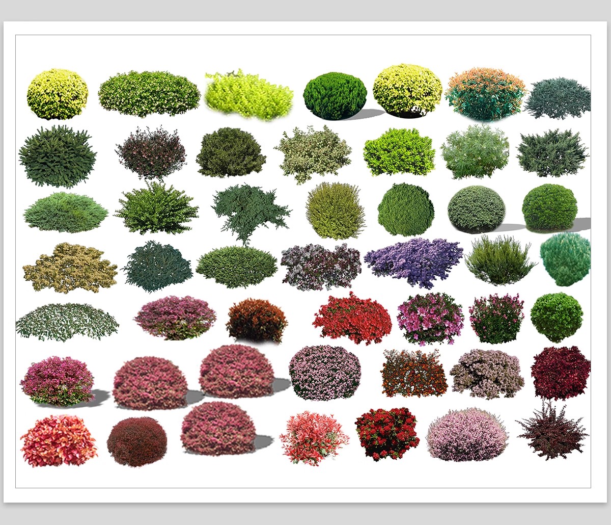 图片[9]-园林景观灌木球ps素材psd免抠效果图球形植物红檵木黄杨女贞石楠-大怪兽分享
