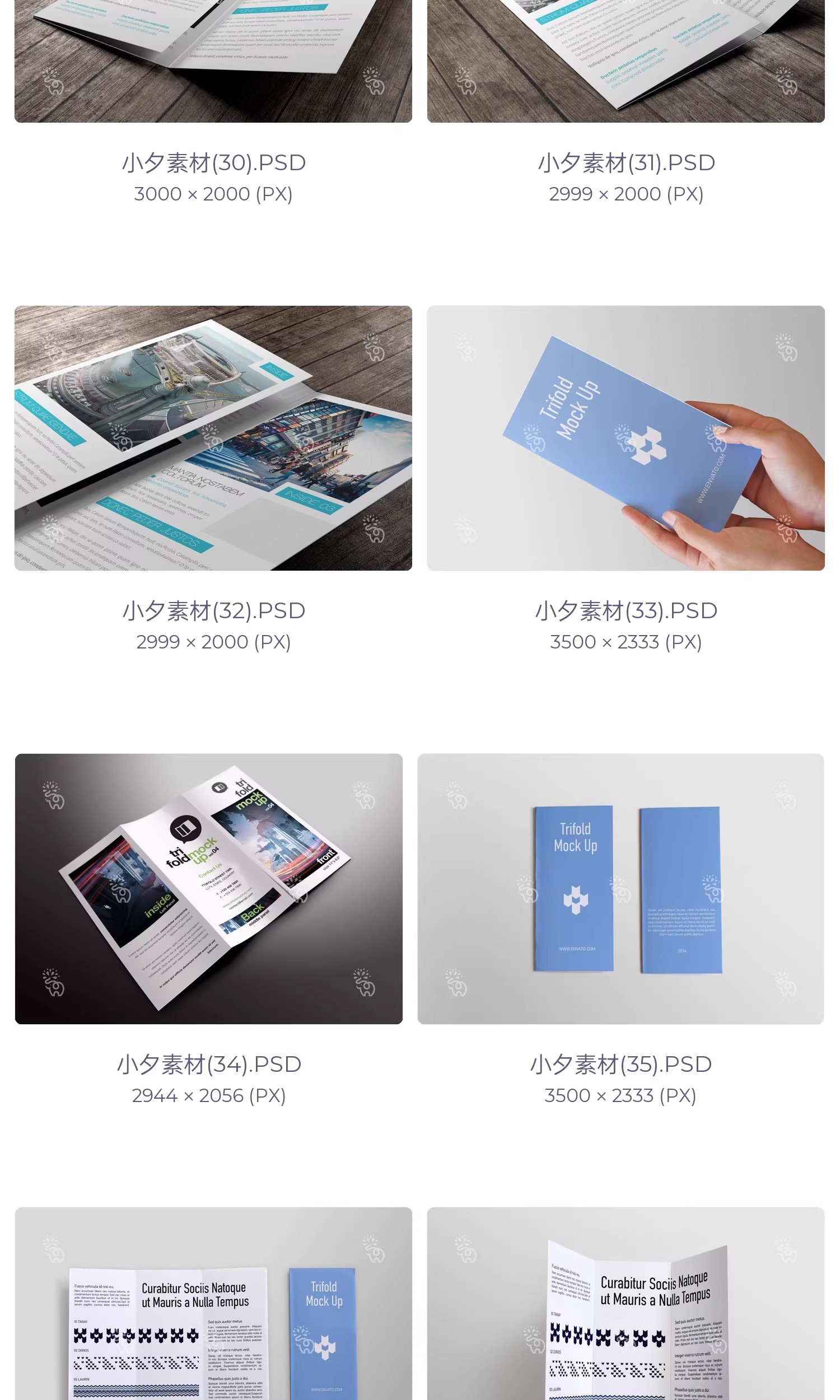 图片[9]-57套品牌企业对折三折页四折页展示效果PSD智能贴图样机素材-大怪兽分享