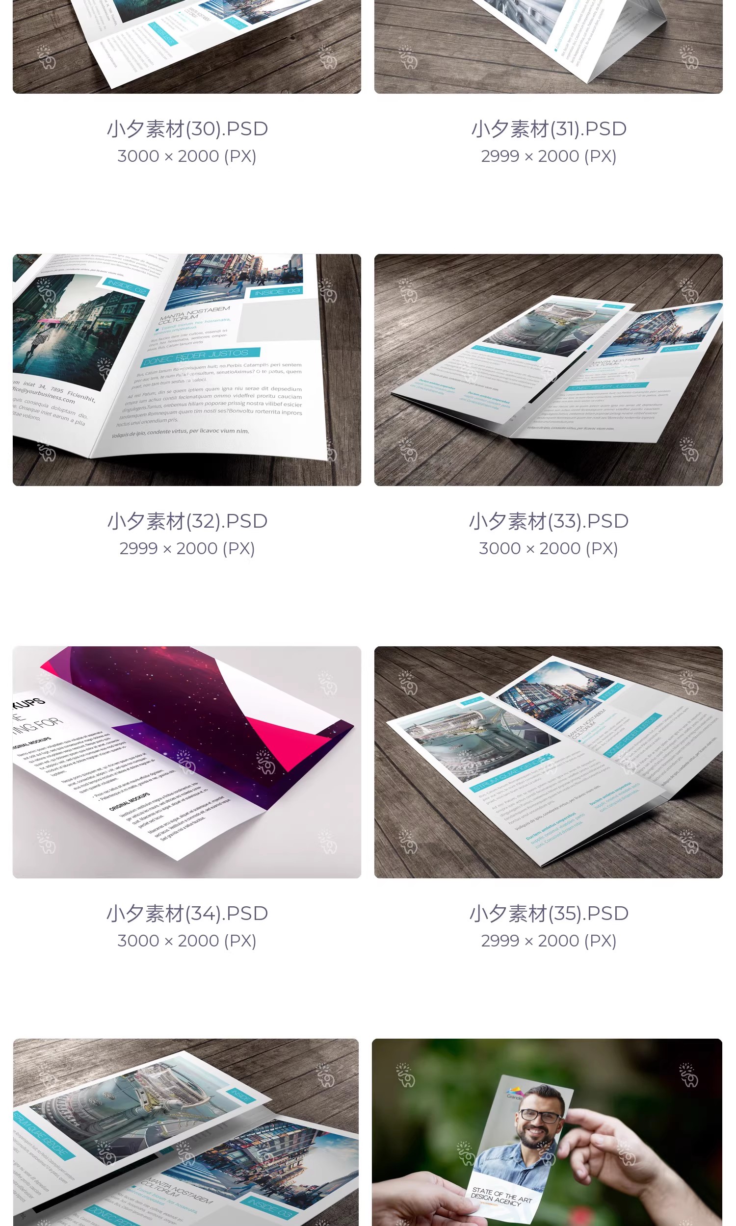 图片[9]-高端品牌对折三折页四折页展示效果图PSD分层智能贴图样机模板-大怪兽分享