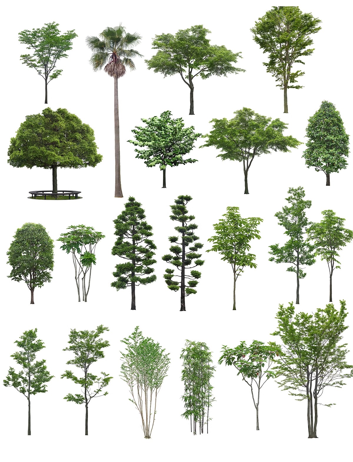 图片[9]-高清植物PS贴图真实乔木竞赛秋季植物PNG免扣园林景观植物素材-大怪兽分享