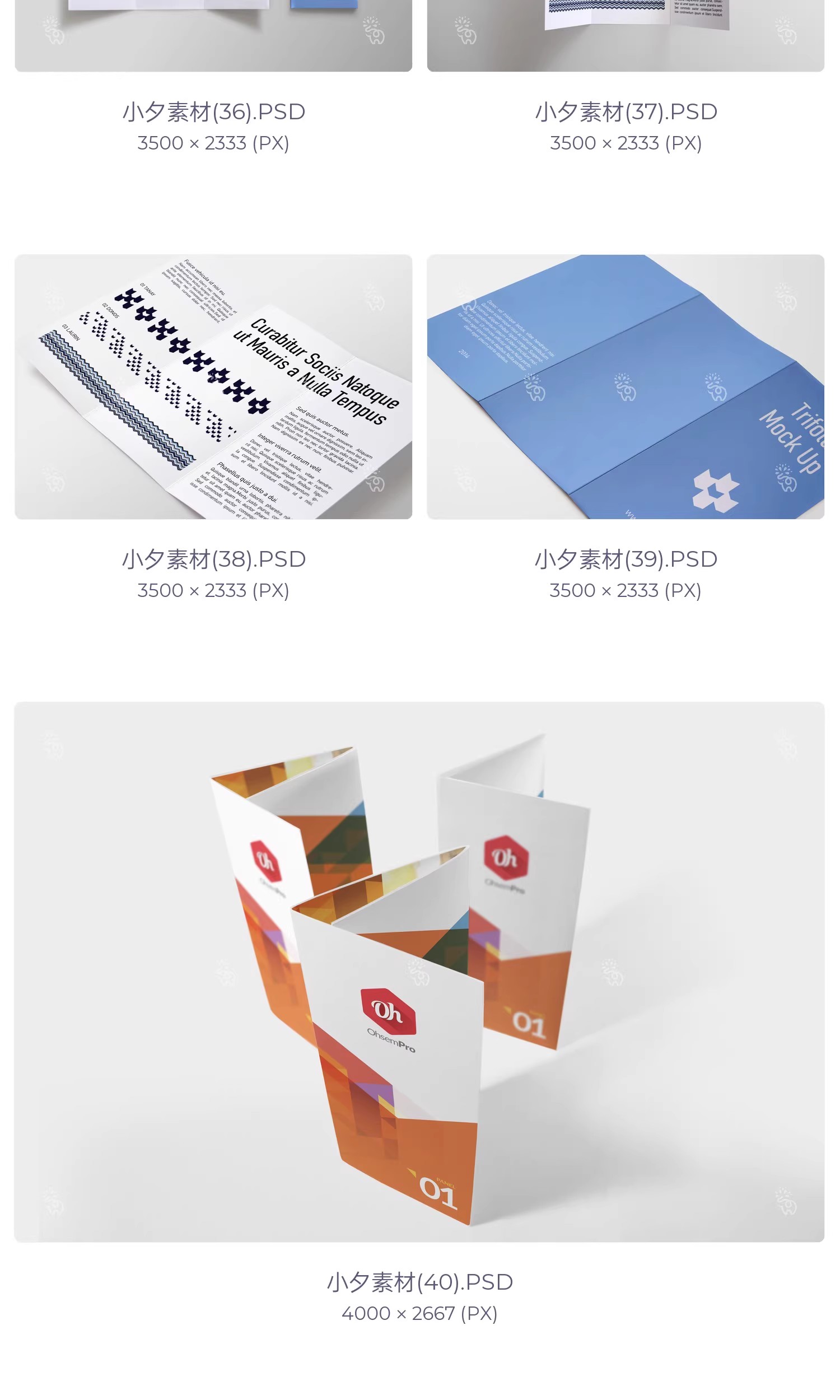 图片[10]-57套品牌企业对折三折页四折页展示效果PSD智能贴图样机素材-大怪兽分享