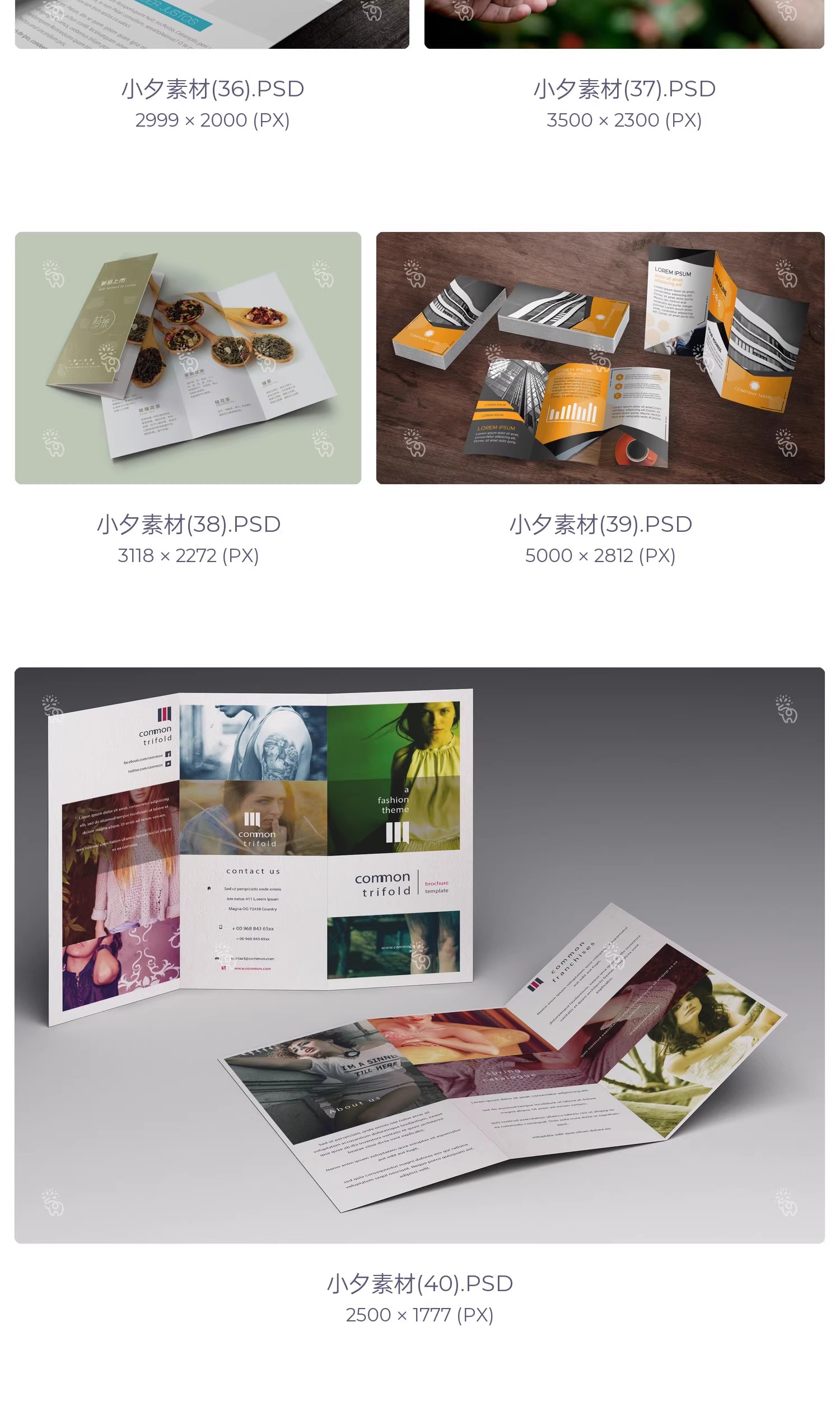 图片[10]-高端品牌对折三折页四折页展示效果图PSD分层智能贴图样机模板-大怪兽分享