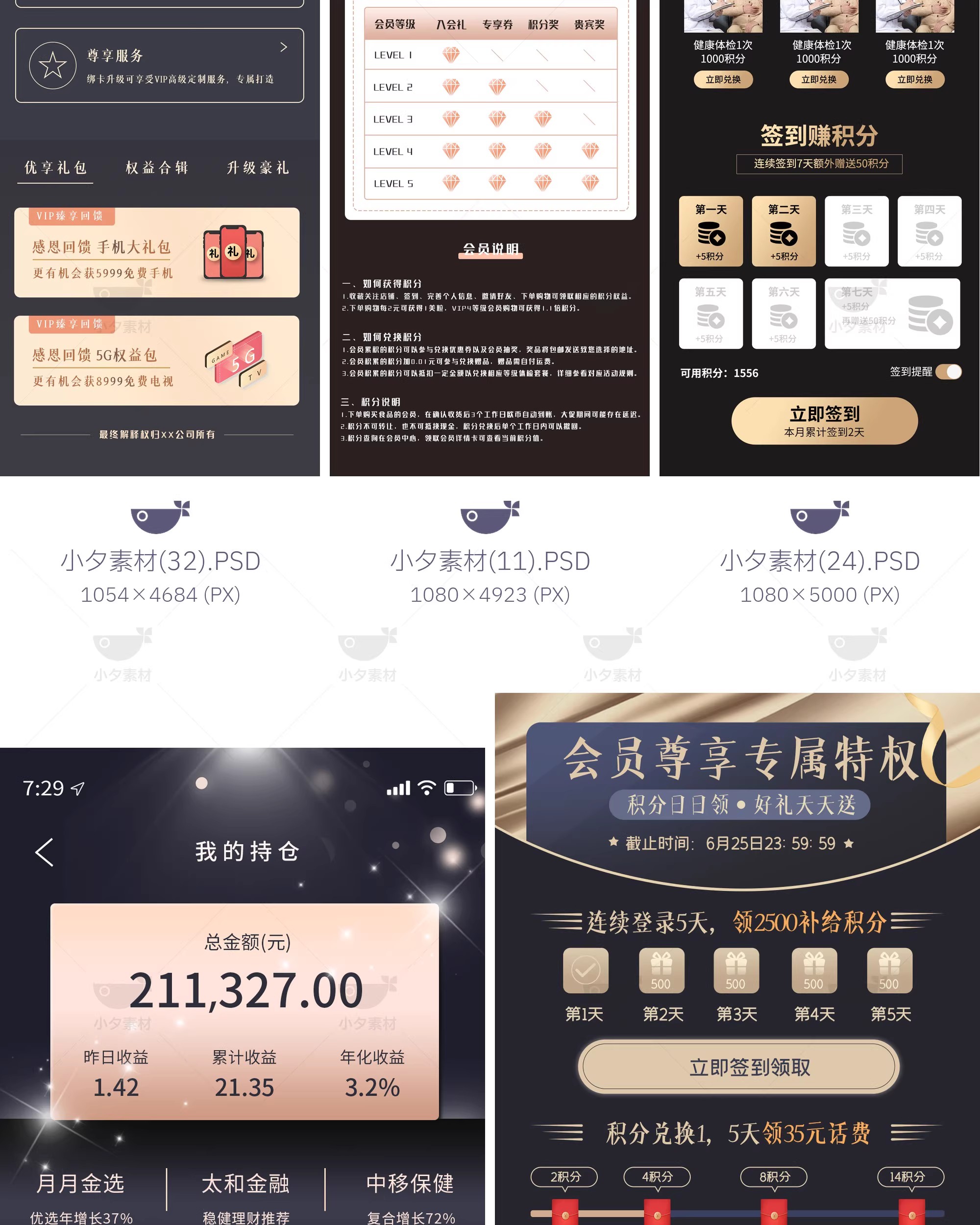 图片[11]-黑金风VIP权益特权专区会员中心体检项目活动介绍H5UI长图PSD素材-大怪兽分享