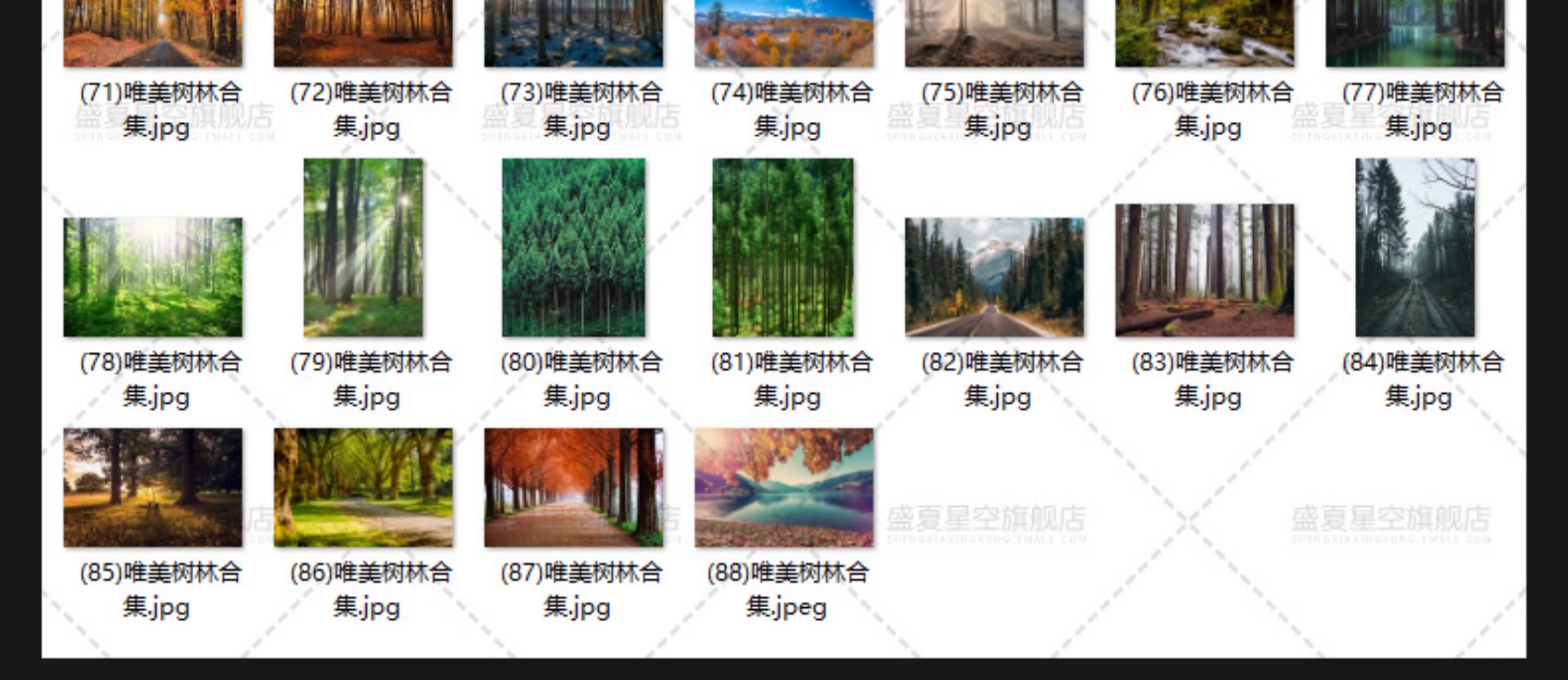图片[8]-唯美树林小路森林风景阳光穿透绿叶红叶黄叶壁纸直播背景图片素材-大怪兽分享