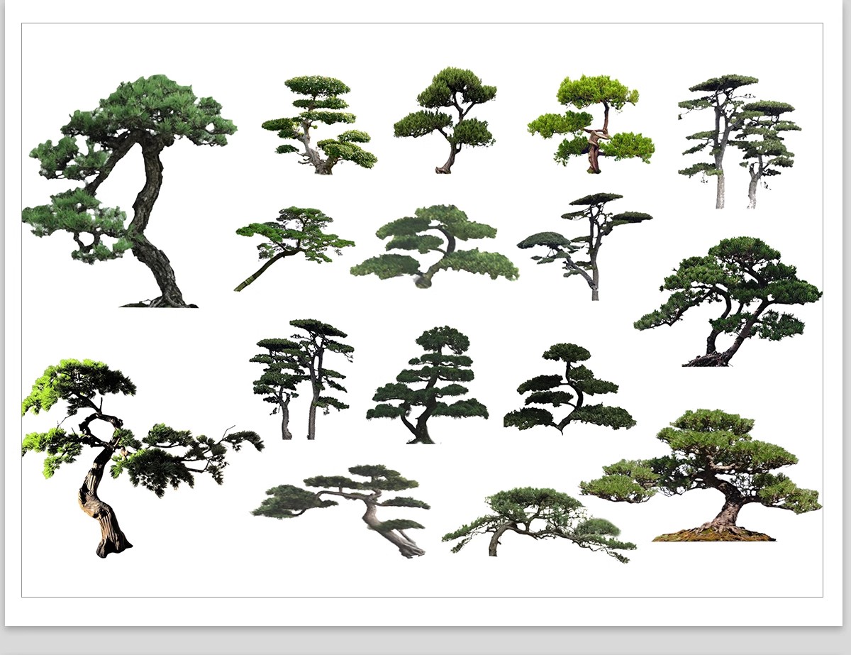 图片[11]-PS景观造型植物灌木球造型树迎客罗汉松桩景效果图png棒棒糖素材-大怪兽分享