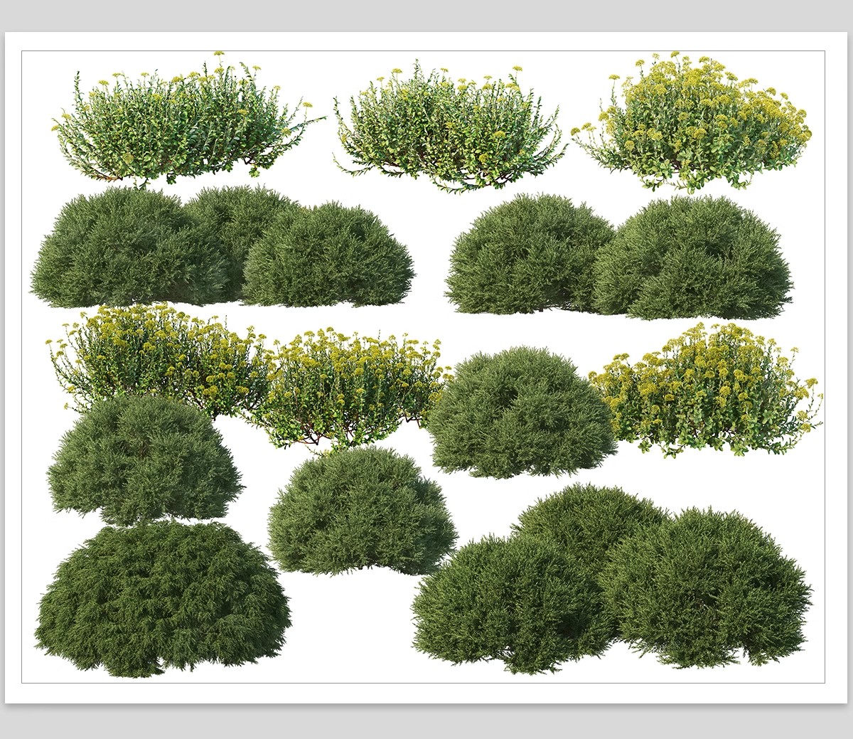 图片[12]-园林景观灌木球ps素材psd免抠效果图球形植物红檵木黄杨女贞石楠-大怪兽分享