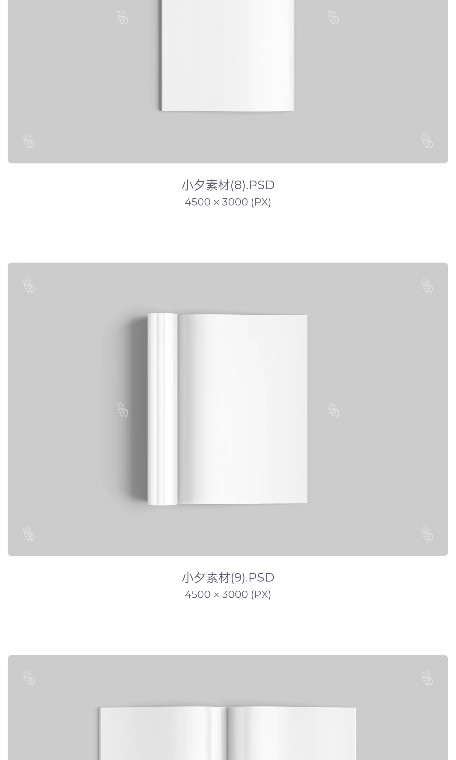 图片[12]-画册封面内页杂志书籍智能贴图文创毕设样机PSD分层设计素材模板-大怪兽分享