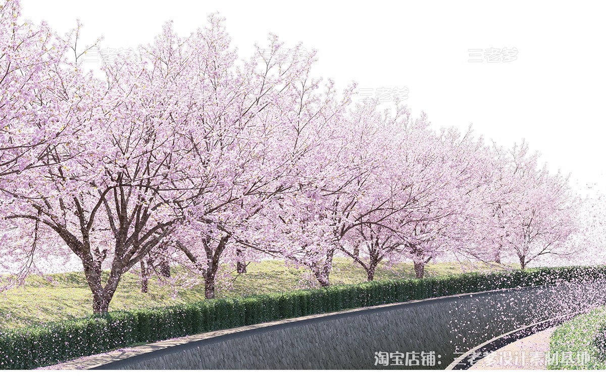 图片[12]-樱花树梅花树PS免抠 景观园林梅花桃花花瓣街道植物PSD效果图素材-大怪兽分享