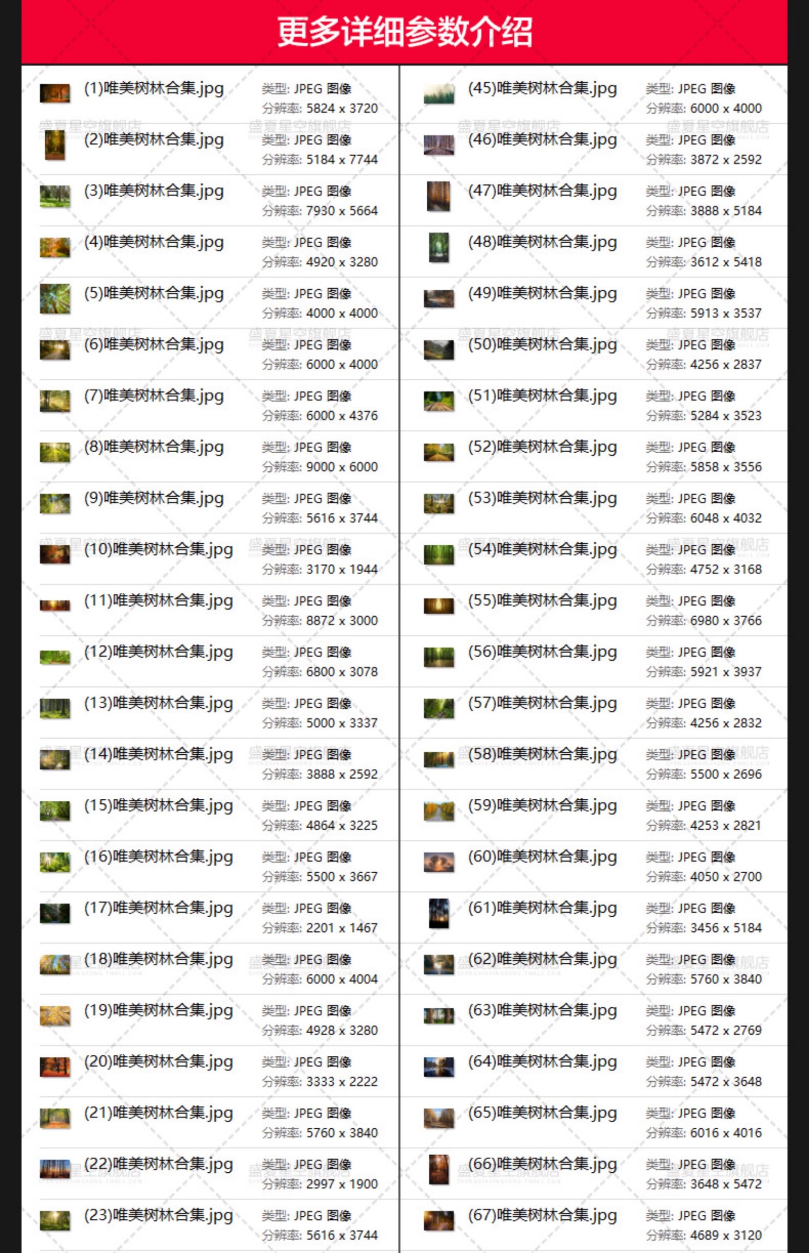 图片[9]-唯美树林小路森林风景阳光穿透绿叶红叶黄叶壁纸直播背景图片素材-大怪兽分享