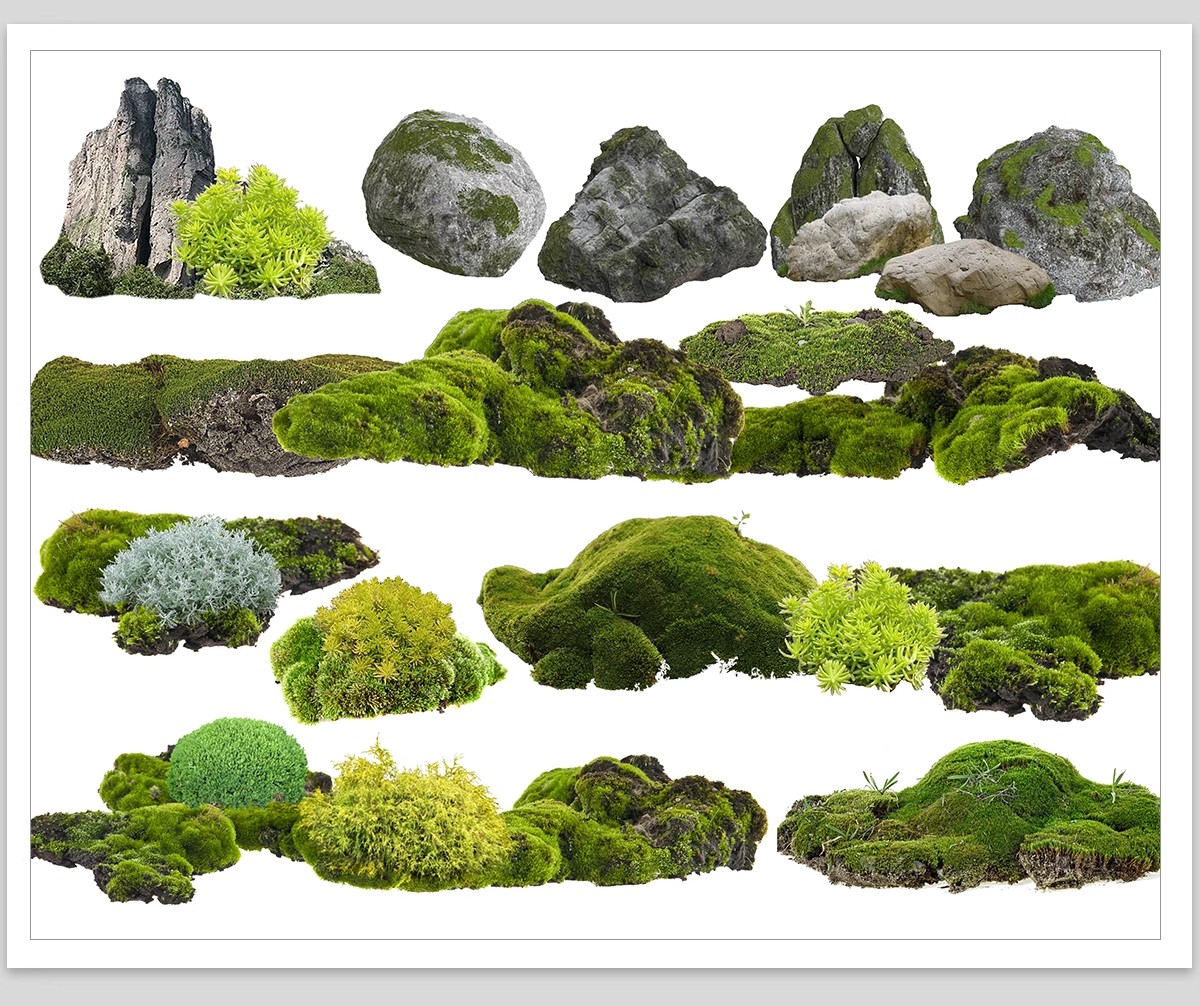 图片[13]-耐阴植物psd免扣园林景观蕨类苔藓矾根苔藓花镜地被ps素材效果图-大怪兽分享