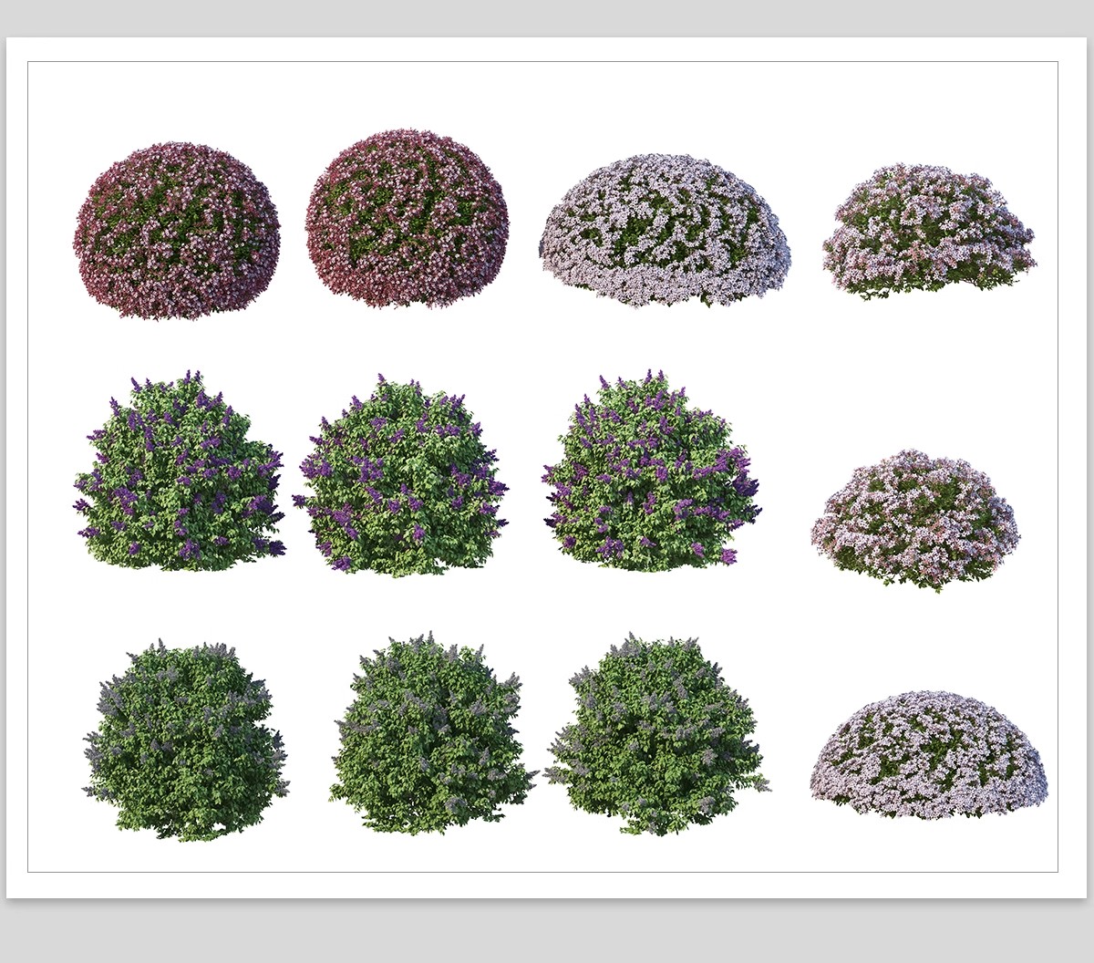图片[13]-园林景观灌木球ps素材psd免抠效果图球形植物红檵木黄杨女贞石楠-大怪兽分享