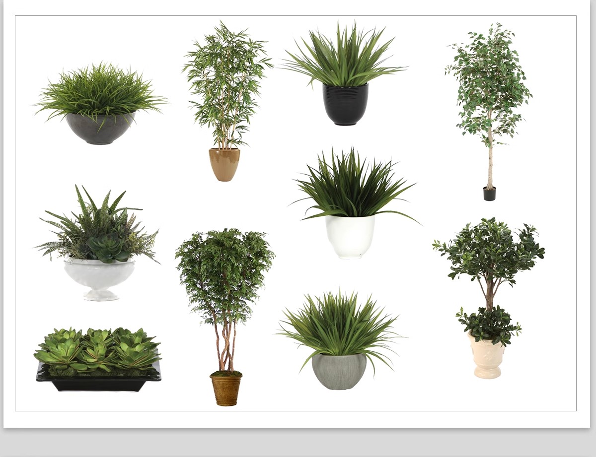 图片[13]-室内盆栽绿植花盆植物组合ps素材 现代简约客厅摆件免抠psd免抠图-大怪兽分享