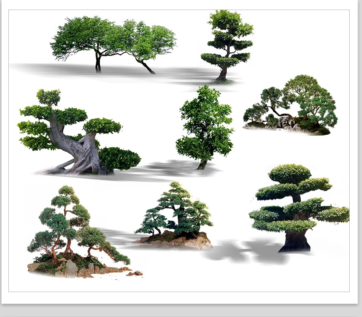 图片[13]-PS景观造型植物灌木球造型树迎客罗汉松桩景效果图png棒棒糖素材-大怪兽分享