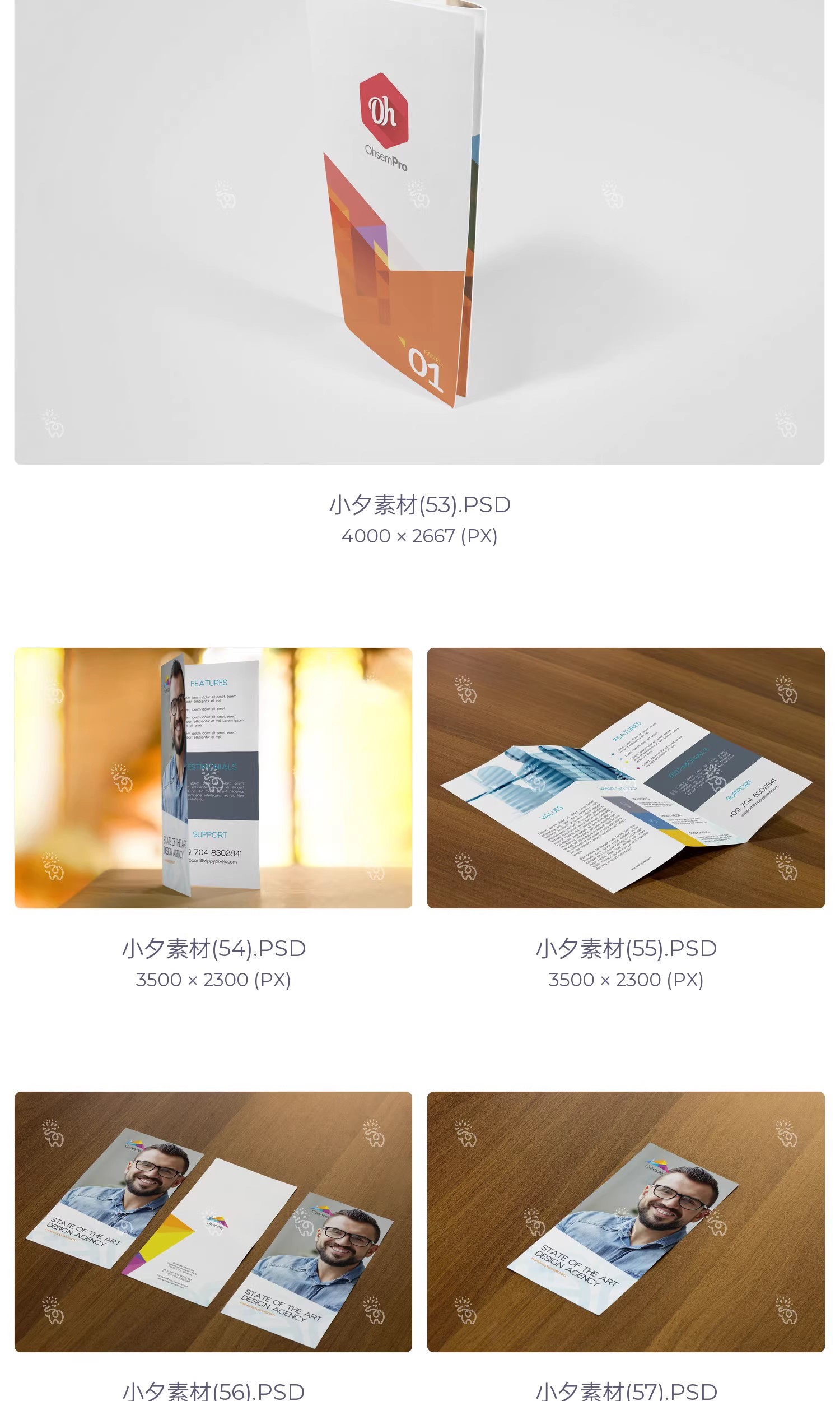 图片[13]-57套品牌企业对折三折页四折页展示效果PSD智能贴图样机素材-大怪兽分享