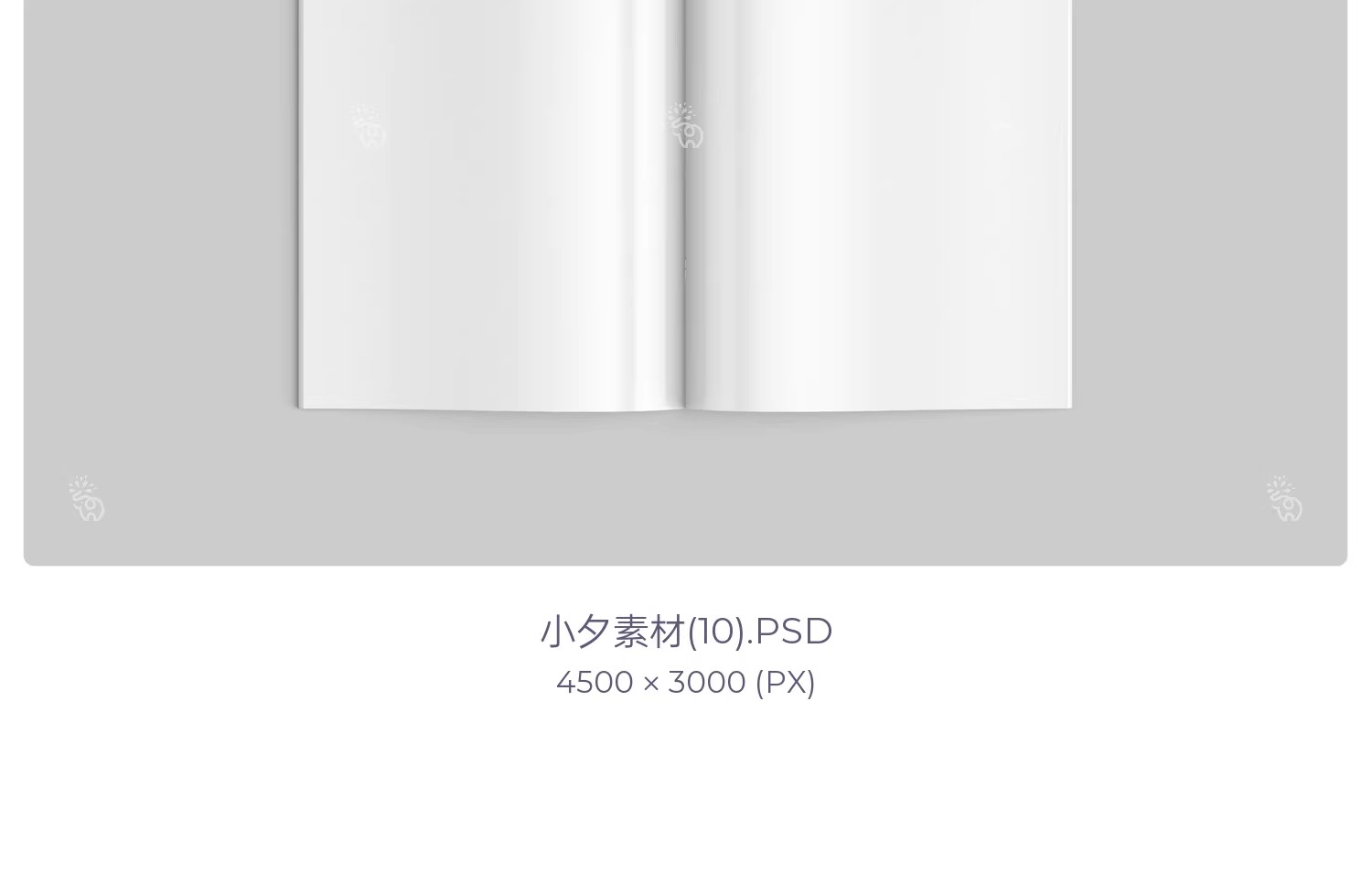 图片[13]-画册封面内页杂志书籍智能贴图文创毕设样机PSD分层设计素材模板-大怪兽分享