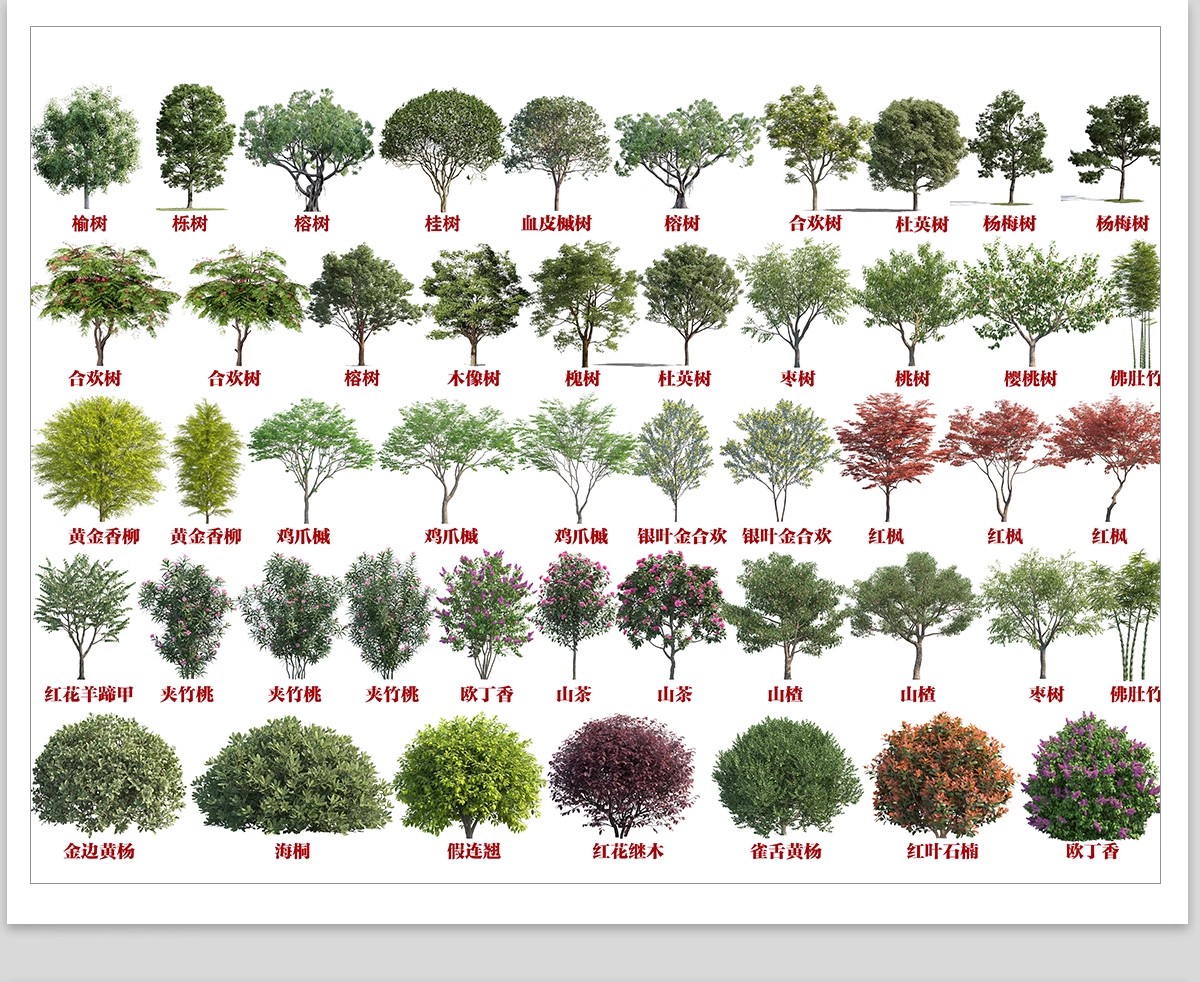图片[13]-庭院植物灌木地被psd素材 花园玉簪矾根百子莲南天竹蕨苔草ps免扣-大怪兽分享