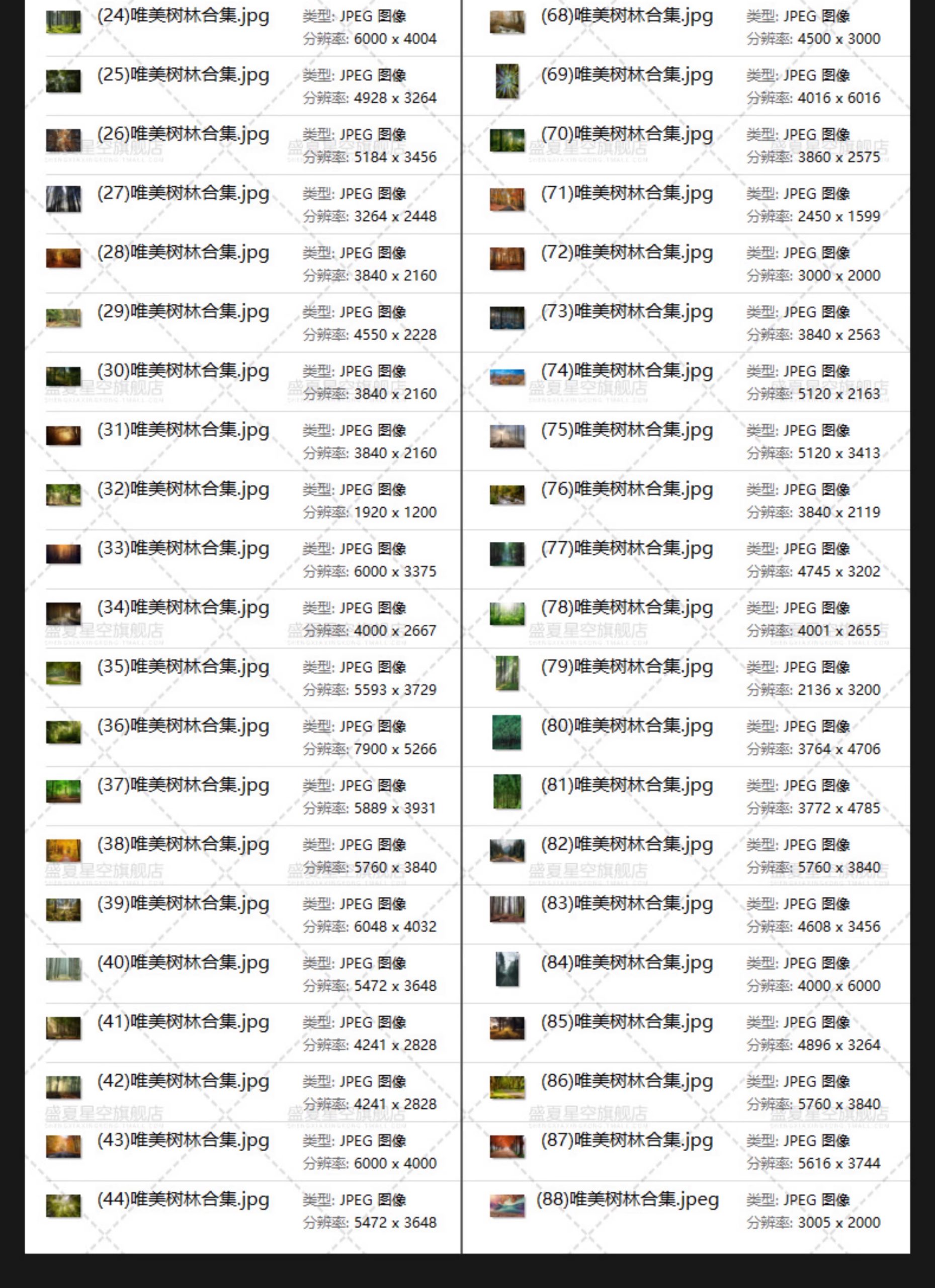 图片[10]-唯美树林小路森林风景阳光穿透绿叶红叶黄叶壁纸直播背景图片素材-大怪兽分享