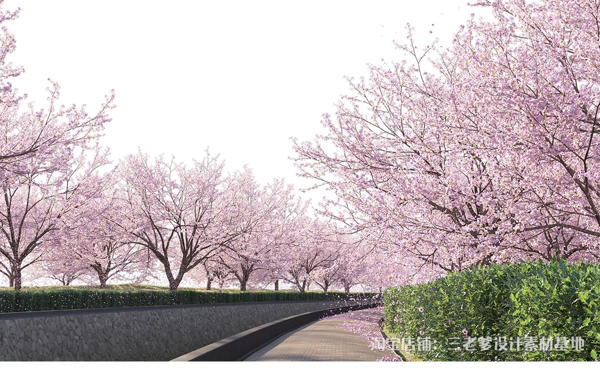 图片[14]-樱花树梅花树PS免抠 景观园林梅花桃花花瓣街道植物PSD效果图素材-大怪兽分享