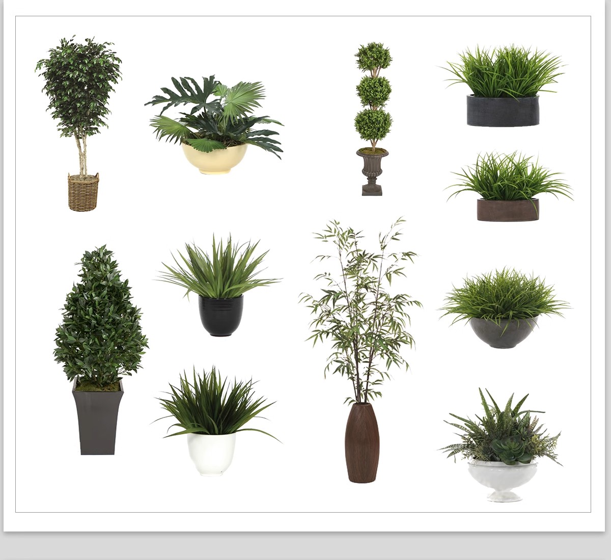 图片[14]-室内盆栽绿植花盆植物组合ps素材 现代简约客厅摆件免抠psd免抠图-大怪兽分享