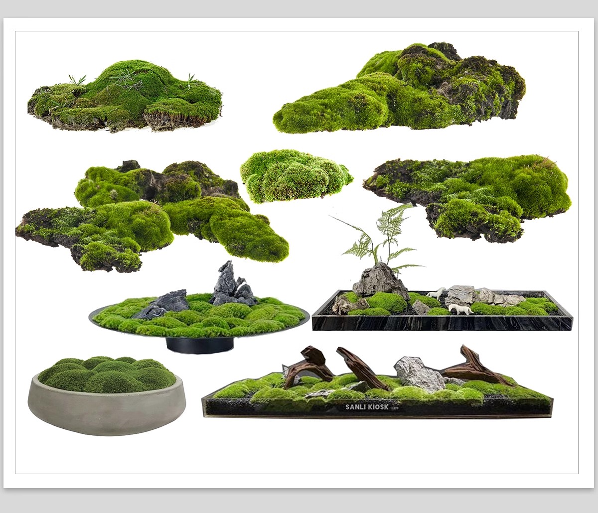 图片[15]-耐阴植物psd免扣园林景观蕨类苔藓矾根苔藓花镜地被ps素材效果图-大怪兽分享