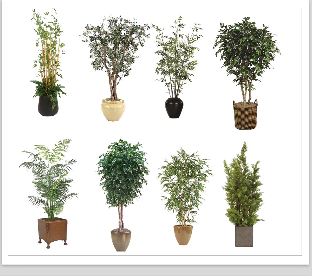 图片[15]-室内盆栽绿植花盆植物组合ps素材 现代简约客厅摆件免抠psd免抠图-大怪兽分享
