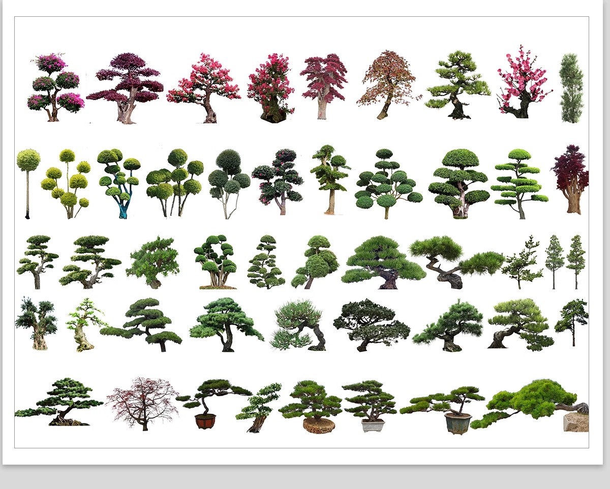 图片[15]-PS景观造型植物灌木球造型树迎客罗汉松桩景效果图png棒棒糖素材-大怪兽分享