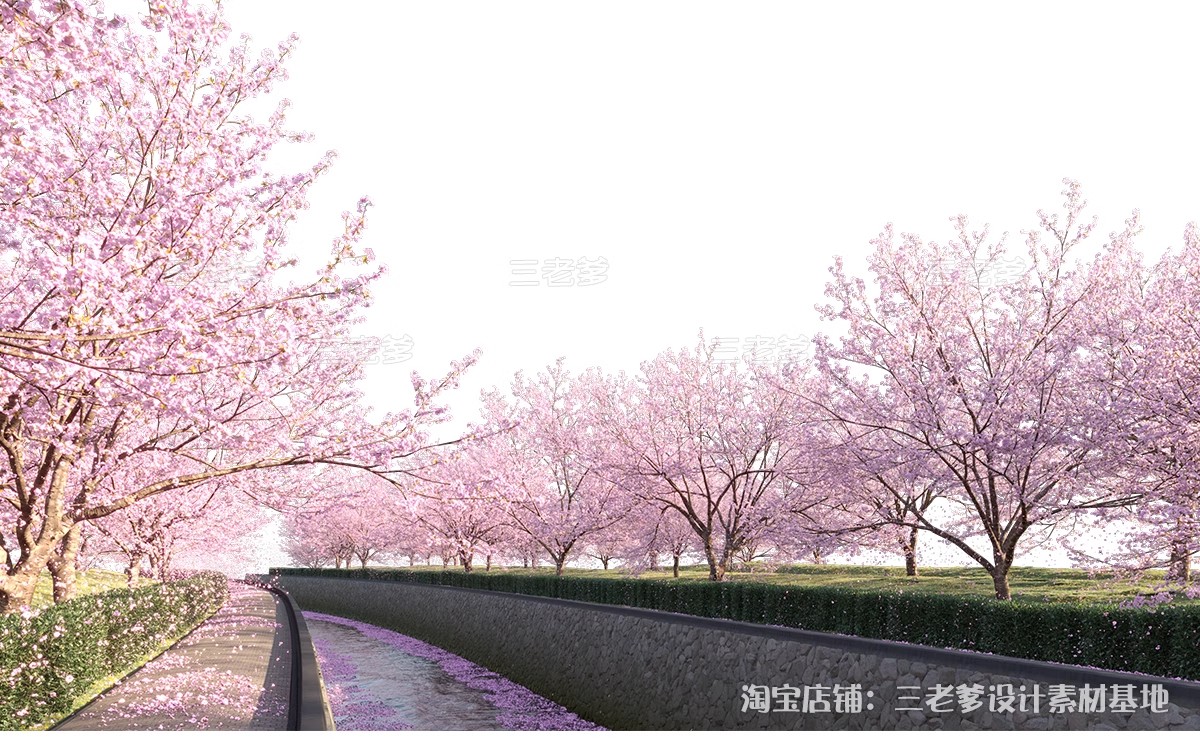 图片[15]-樱花树梅花树PS免抠 景观园林梅花桃花花瓣街道植物PSD效果图素材-大怪兽分享