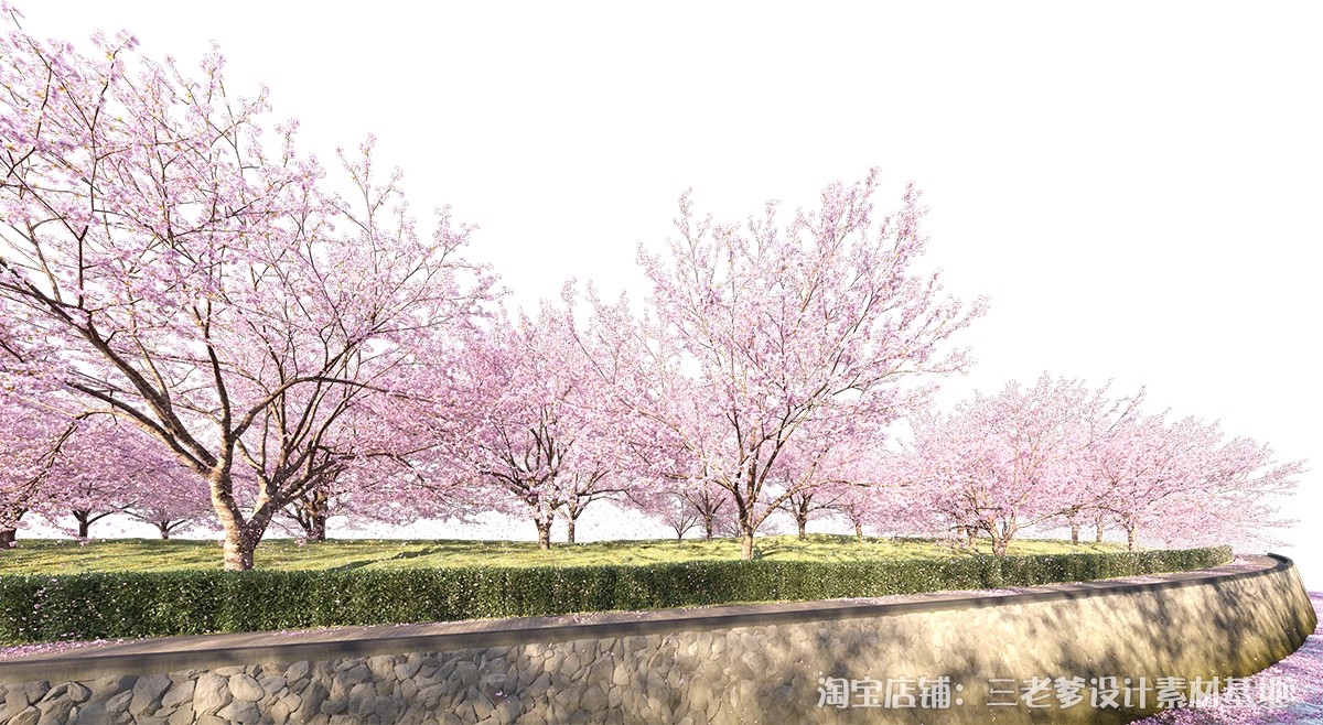 图片[16]-樱花树梅花树PS免抠 景观园林梅花桃花花瓣街道植物PSD效果图素材-大怪兽分享