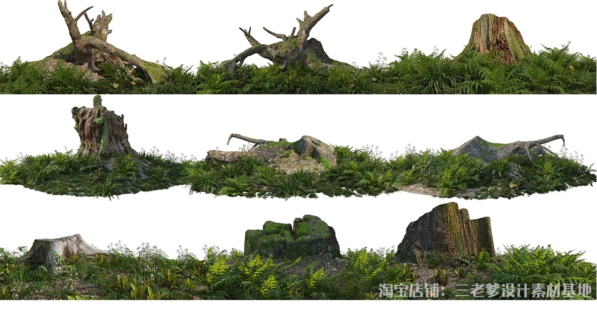 图片[16]-耐阴植物psd免扣园林景观蕨类苔藓矾根苔藓花镜地被ps素材效果图-大怪兽分享