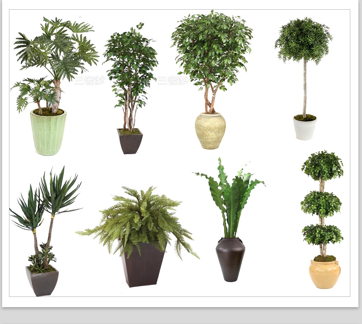 图片[16]-室内盆栽绿植花盆植物组合ps素材 现代简约客厅摆件免抠psd免抠图-大怪兽分享