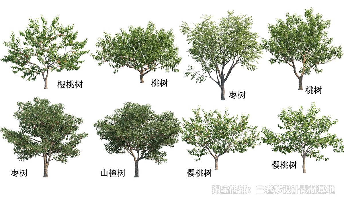 图片[17]-高清植物PS贴图真实乔木竞赛秋季植物PNG免扣园林景观植物素材-大怪兽分享